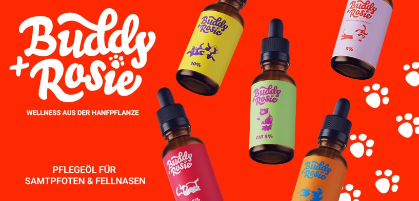 Buddy+Rosie CBD Pflegeöl für Tiere.