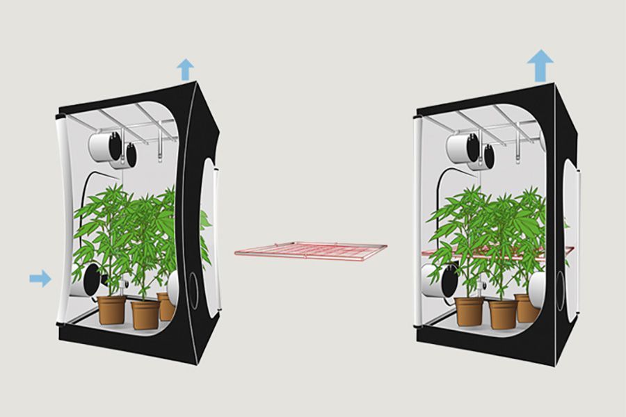 Hochwertige Growbox kaufen