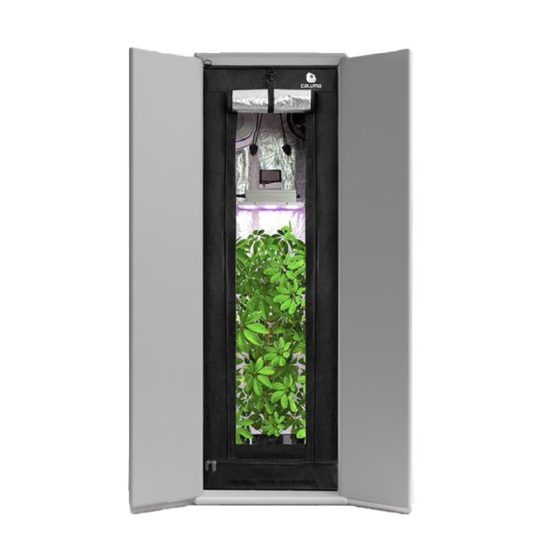 Growbox Komplettset Readymade in einem Schrank