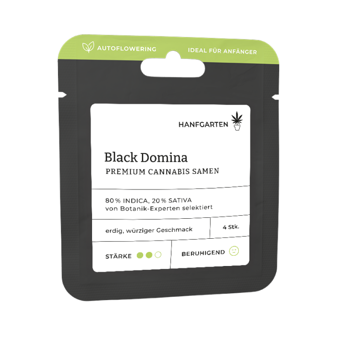 Black Domina | Autoflowering