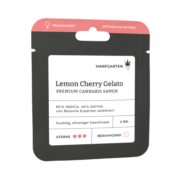 Lemon Cherry Gelato | Feminisiert