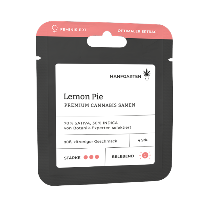 Lemon Pie | Feminisiert