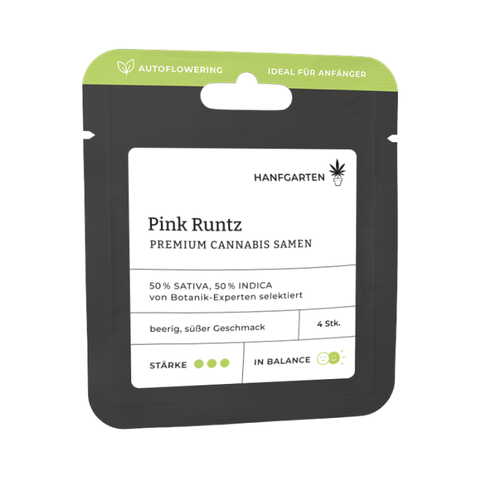 Pink Runtz | Autoflowering