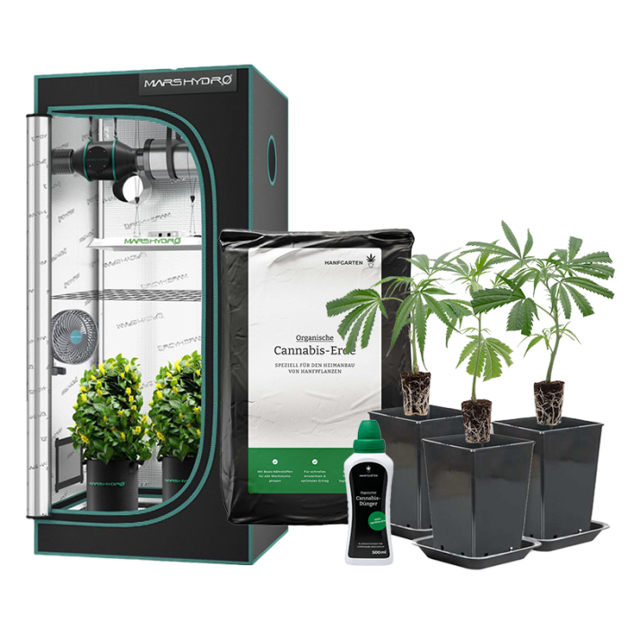 Indoor-Anbau Rundum Sorglos Paket