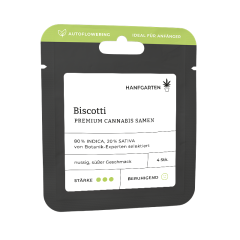 Biscotti | Autoflowering Vorderansicht