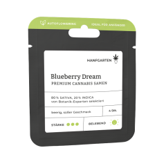 Blueberry Dream | Autoflowering Vorderseite