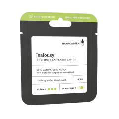 Jealousy | Autoflowering Vorderseite
