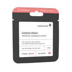 Lemon Haze | Feminisiert Vorderseite