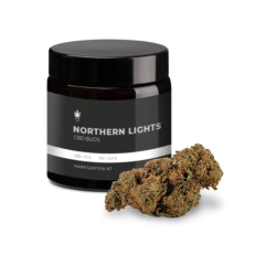 Northern Lights
