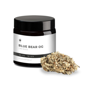 Blue Bear OG Hanfgarten