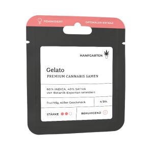 Gelato | Feminisiert Vorderansicht