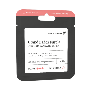 Grand Daddy Purple (GDP) | Feminisiert Vorderansicht