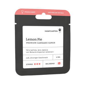 Lemon Pie | Feminisiert Vorderseite
