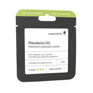 Mandarin OG | Autoflowering Vorderseite