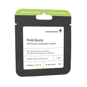 Pink Runtz | Autoflowering Vorderseite
