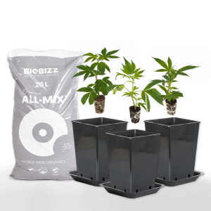 Hanfgarten Online Shop Premium Hanfprodukte kaufen
