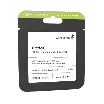Critical | Autoflowering Vorderseite