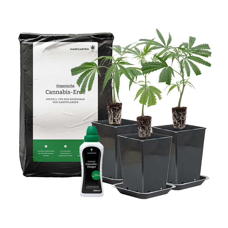 Rundum Sorglos Paket Outdoor