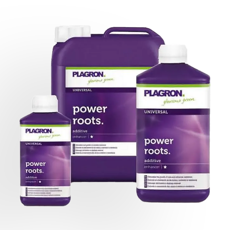 Plagron Power Roots alle Größen 
