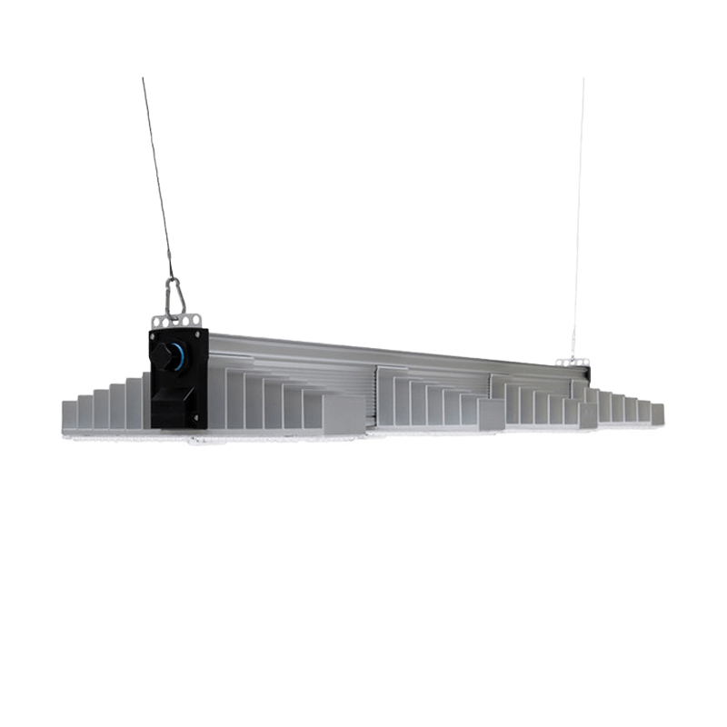 Growlampe von oben 