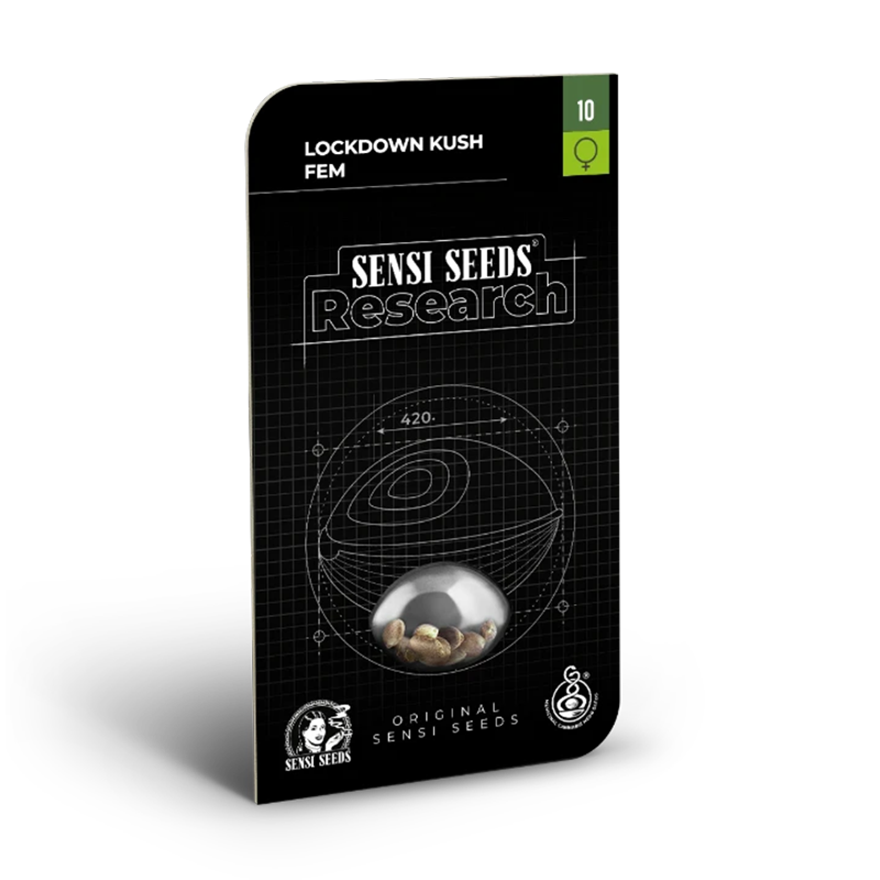 Verpackung der Lockdown Kush Samen