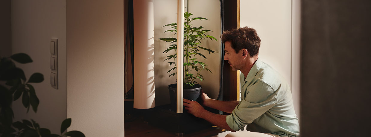 Growbox reinigen: Schritt-für-Schritt-Anleitung für optimale Hygiene