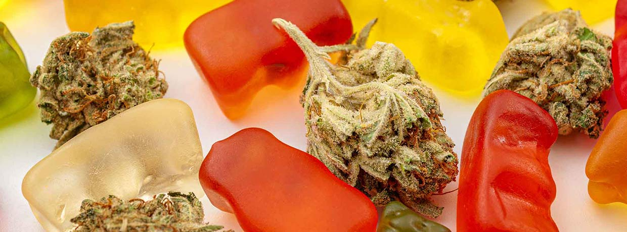 Edibles - Cannabis zum Essen