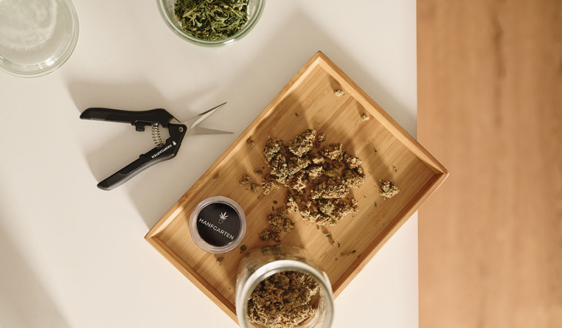 Grinder richtig nutzen: Leitfaden zur Anwendung & Reinigung