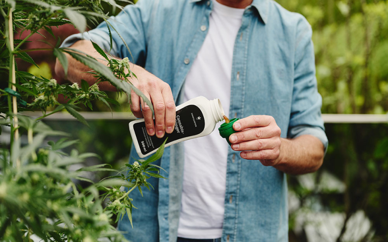 Organisch oder mineralisch? Dünger für Cannabis im Vergleich