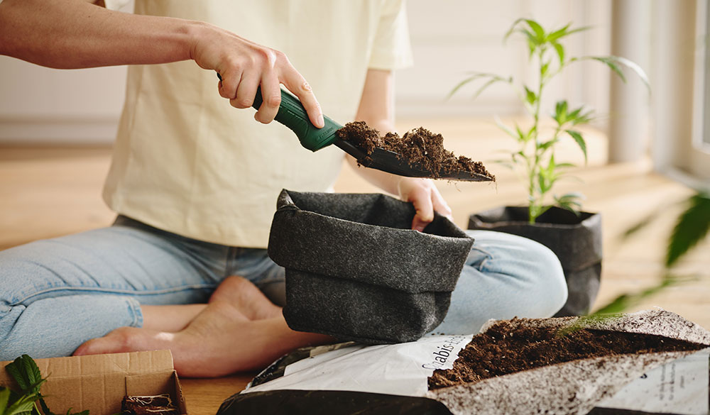 Weitere Risikofaktoren in der Umgebung