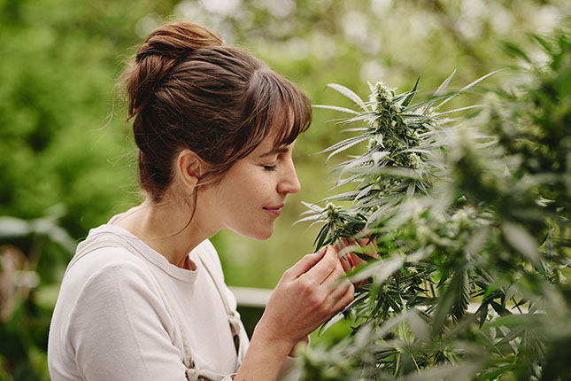 Mega Store in Kalsdorf bei Graz